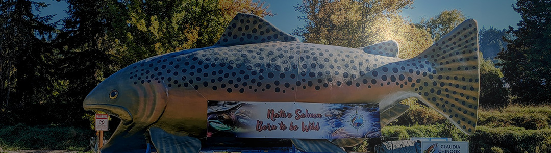 Large colorful fiberglass fish on a flatbed trailer with banner that reads Native Salmon Born to be Wild.